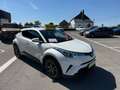 Toyota C-HR 🔥ETAT EXCEPTIONNEL✅FULL OPTIONS‼️DISPONIB Weiß - thumbnail 14