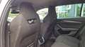 Skoda Octavia Combi TDI DSG 4x4 ''AHV'' ''1.Besitz'' Silber - thumbnail 14