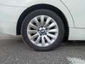 BMW 318 E91 Touring 318d 2.0 Attiva 143cv Bianco - thumbnail 20