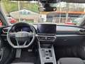 CUPRA Formentor 1,5 TSI DSG LED NAVI KAMERA 19ZOLL Blanc - thumbnail 21