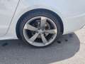 Audi A5 Sportback 2.0TDI S line ed. quattro S-T 177 Blanco - thumbnail 19