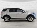 Land Rover Discovery Sport 2.0 TD4 163 CV AWD Auto S TETTO PANORAMICO Argent - thumbnail 9