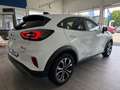 Ford Puma Titanium Aut. Winterpaket + Fahrerassistenzpaket Wit - thumbnail 7
