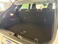 Ford Puma Titanium Aut. Winterpaket + Fahrerassistenzpaket Wit - thumbnail 4
