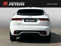 Jaguar E-Pace D180 R-Dynamic S BlackPack 20''LM AHK DAB TotWinke Weiß - thumbnail 7