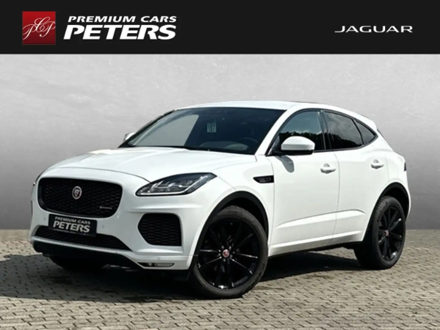 Jaguar E-Pace D180 R-Dynamic S BlackPack 20''LM AHK DAB TotWinke Weiß - 1
