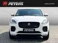 Jaguar E-Pace D180 R-Dynamic S BlackPack 20''LM AHK DAB TotWinke Weiß - thumbnail 8