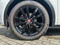 Jaguar E-Pace D180 R-Dynamic S BlackPack 20''LM AHK DAB TotWinke Weiß - thumbnail 9