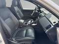 Jaguar E-Pace D180 R-Dynamic S BlackPack 20''LM AHK DAB TotWinke Weiß - thumbnail 3