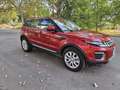 Land Rover Range Rover Evoque 2.0TD4 SE 4WD Aut. 150 Rouge - thumbnail 21
