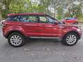 Land Rover Range Rover Evoque 2.0TD4 SE 4WD Aut. 150 Rouge - thumbnail 22