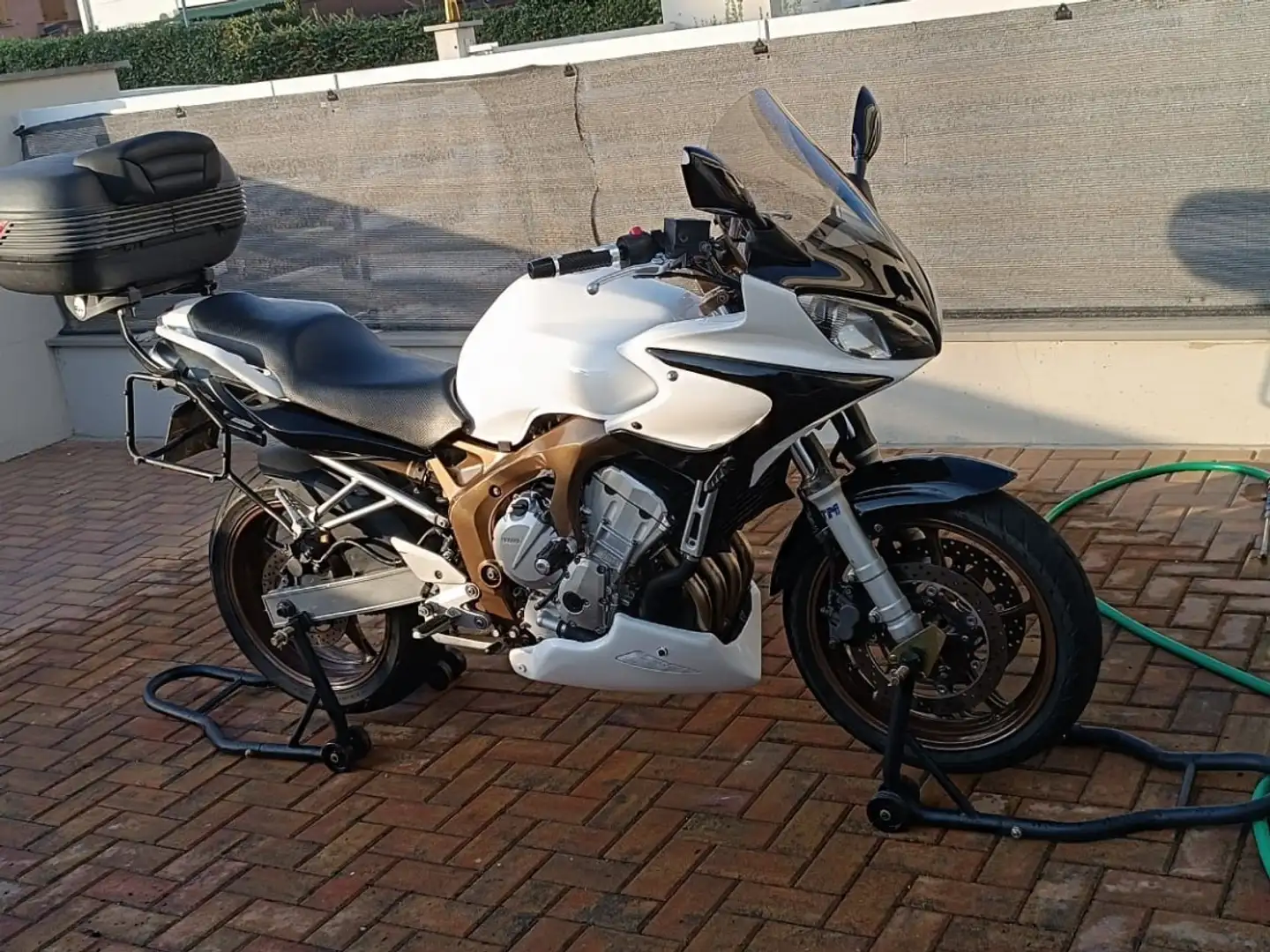 Yamaha FZ 6 White - 1