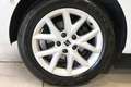 SEAT Leon Austria Edition 1.0 TSI Weiß - thumbnail 22