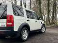 Land Rover Discovery 2.7 TDV6 Grijs Kenteken - Youngtimer - Trekhaak Wit - thumbnail 5
