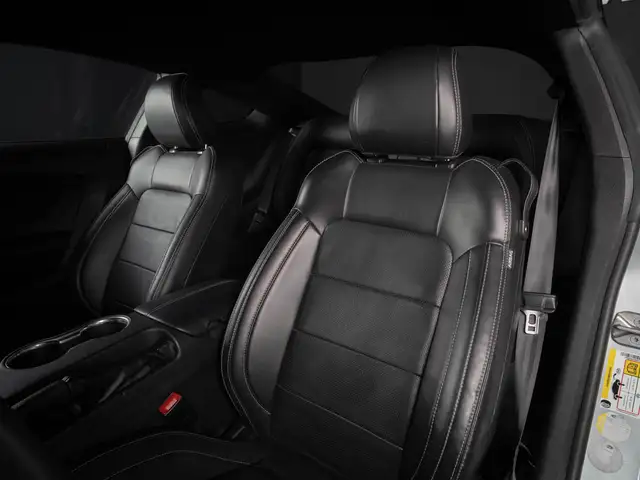 Ford Mustang view 11