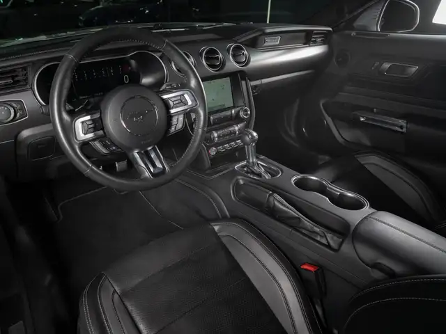 Ford Mustang view 10