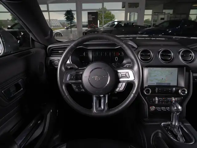 Ford Mustang view 12