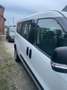 Fiat Doblo Lange cabine (btw aftrekbaar 6611€) Blanc - thumbnail 4