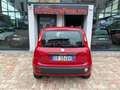 Fiat Panda Panda III 1.2 69cv Rosso - thumbnail 4