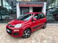 Fiat Panda Panda III 1.2 69cv Rosso - thumbnail 2