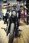 Harley-Davidson Street Bob ***MOTO VERTE*** Bronze - thumbnail 6