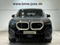 BMW XM Gestiksteuerung HiFi DAB Komfortzg. AHK Gris - thumbnail 2