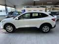 Ford Kuga Cool & Connect 2.0 EcoBlue Hybrid Winterpaket Navi Weiß - thumbnail 2