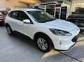 Ford Kuga Cool & Connect 2.0 EcoBlue Hybrid Winterpaket Navi Weiß - thumbnail 6
