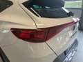 CUPRA Formentor CUPRA 2.0 TDI 4DRIVE DSG 150CV Weiß - thumbnail 24