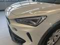 CUPRA Formentor CUPRA 2.0 TDI 4DRIVE DSG 150CV Weiß - thumbnail 26