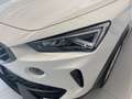 CUPRA Formentor CUPRA 2.0 TDI 4DRIVE DSG 150CV Weiß - thumbnail 23