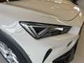 CUPRA Formentor CUPRA 2.0 TDI 4DRIVE DSG 150CV Weiß - thumbnail 28