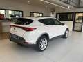 CUPRA Formentor CUPRA 2.0 TDI 4DRIVE DSG 150CV Weiß - thumbnail 21