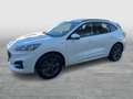 Ford Kuga 2,0 EcoBlue AWD ST-Line Aut. Weiß - thumbnail 2
