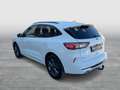 Ford Kuga 2,0 EcoBlue AWD ST-Line Aut. Weiß - thumbnail 3