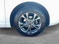 Ford Kuga 2,0 EcoBlue AWD ST-Line Aut. Weiß - thumbnail 6