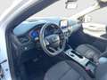 Ford Kuga 2,0 EcoBlue AWD ST-Line Aut. Weiß - thumbnail 8