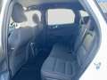 Ford Kuga 2,0 EcoBlue AWD ST-Line Aut. Weiß - thumbnail 11