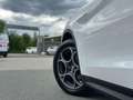Alfa Romeo Stelvio 2.2 Turbodiesel 210 CV AT8 Q4 Sprint Wit - thumbnail 10