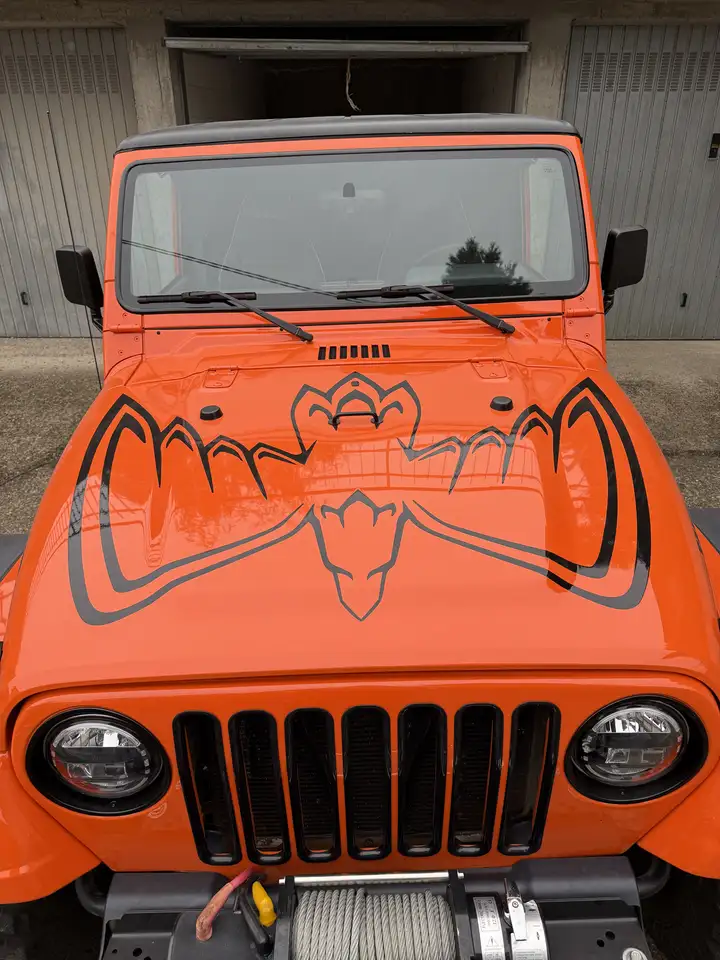 Jeep Wrangler Hard Top 4.0 Sport c/CL, foto 6