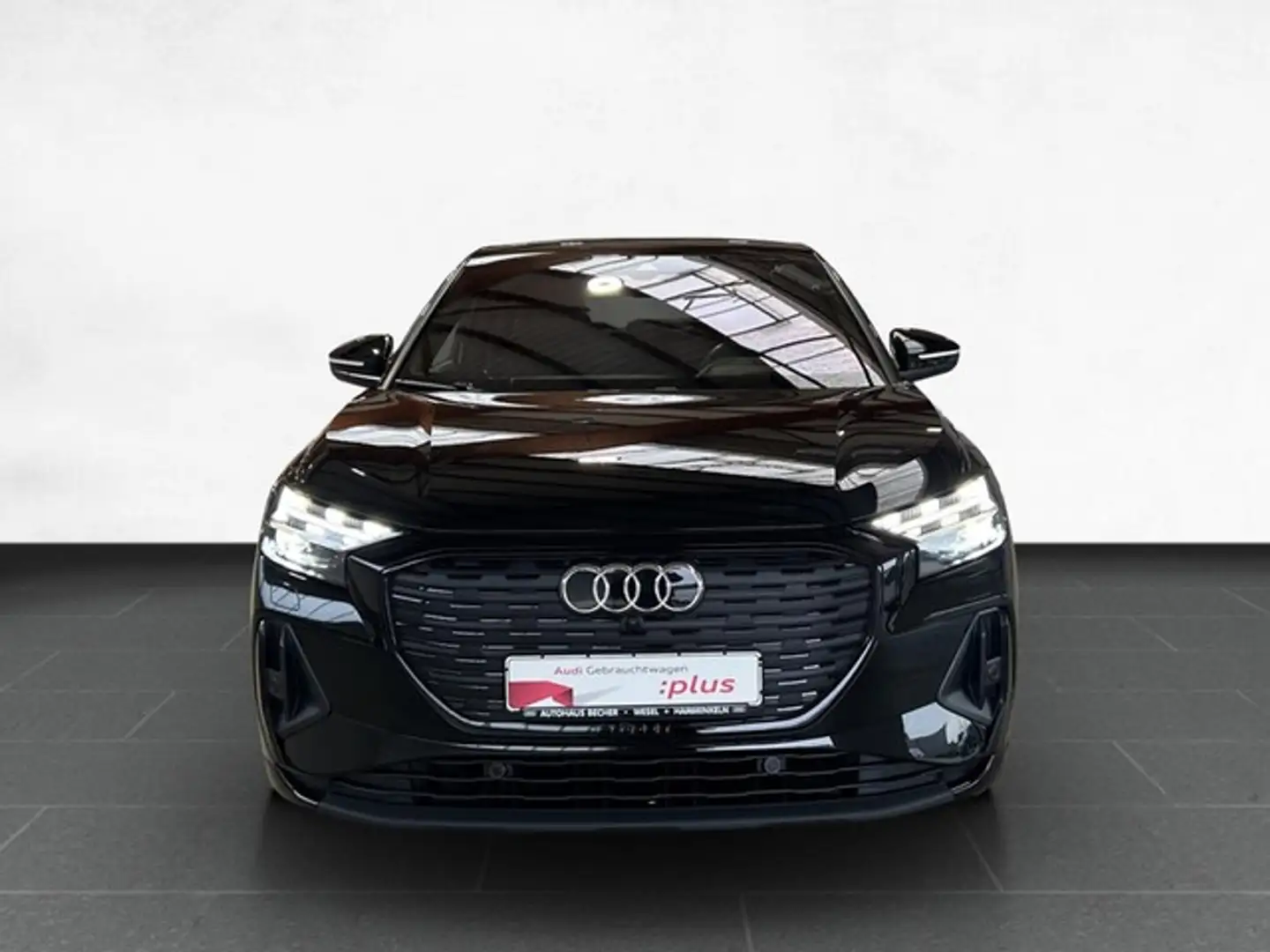 Audi e-tron /Navi/LED/Rückfahrk/ Schwarz - 2