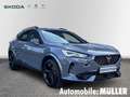 CUPRA Formentor VZ 2.0 TSI 228 kW 7-Gang DSG*TopView360°*Audiosyst Grau - thumbnail 8
