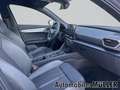 CUPRA Formentor VZ 2.0 TSI 228 kW 7-Gang DSG*TopView360°*Audiosyst Grau - thumbnail 9