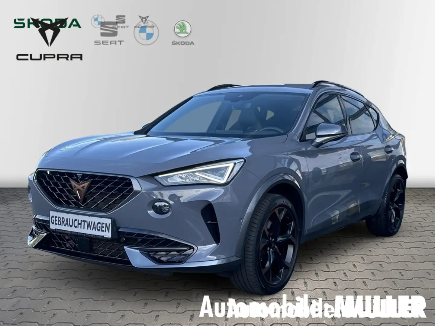CUPRA Formentor VZ 2.0 TSI 228 kW 7-Gang DSG*TopView360°*Audiosyst Grau - 1