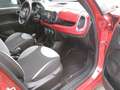 Fiat 500L Motore rotto Rojo - thumbnail 15