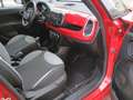 Fiat 500L Motore rotto Rojo - thumbnail 14