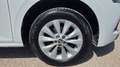 Skoda Kamiq 1.0 TSI Ambition 81kW Blanco - thumbnail 9