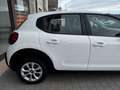 Citroen C3 VAN 1.5 Bluehdi 100cv S&S Feel M6 Blanc - thumbnail 11