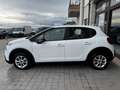 Citroen C3 VAN 1.5 Bluehdi 100cv S&S Feel M6 Blanc - thumbnail 15
