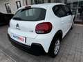 Citroen C3 VAN 1.5 Bluehdi 100cv S&S Feel M6 Blanc - thumbnail 22